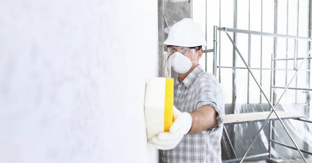 Best Asbestos and Lead Testing During Mold Inspection in Souderton, PA