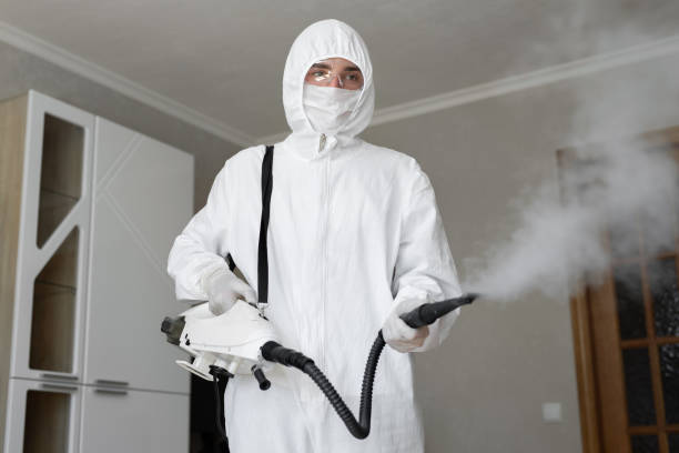 Best Air Quality Testing for Mold Spores in Souderton, PA